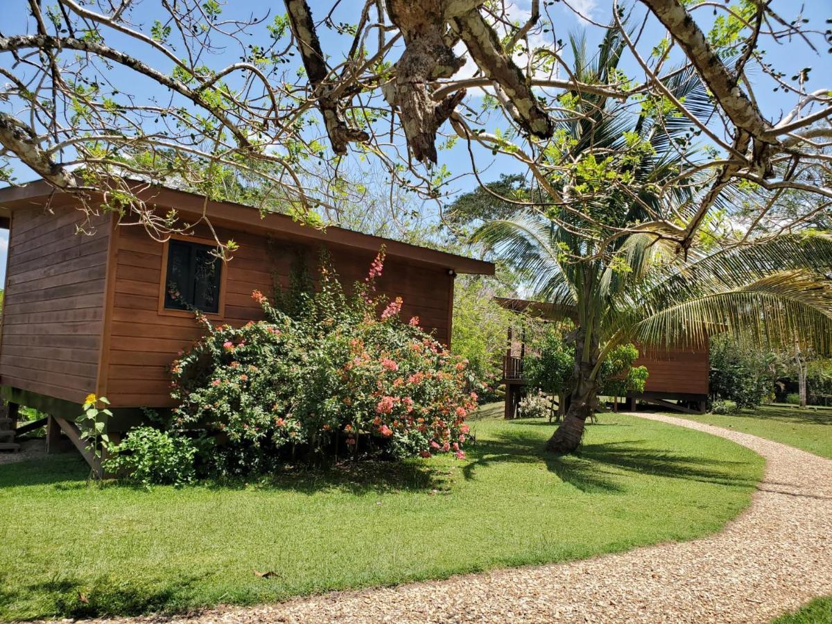 Yumas Riverfront Lodge San Ignacio Dış mekan fotoğraf