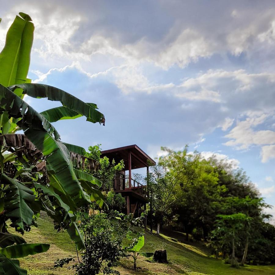 Yumas Riverfront Lodge San Ignacio Dış mekan fotoğraf