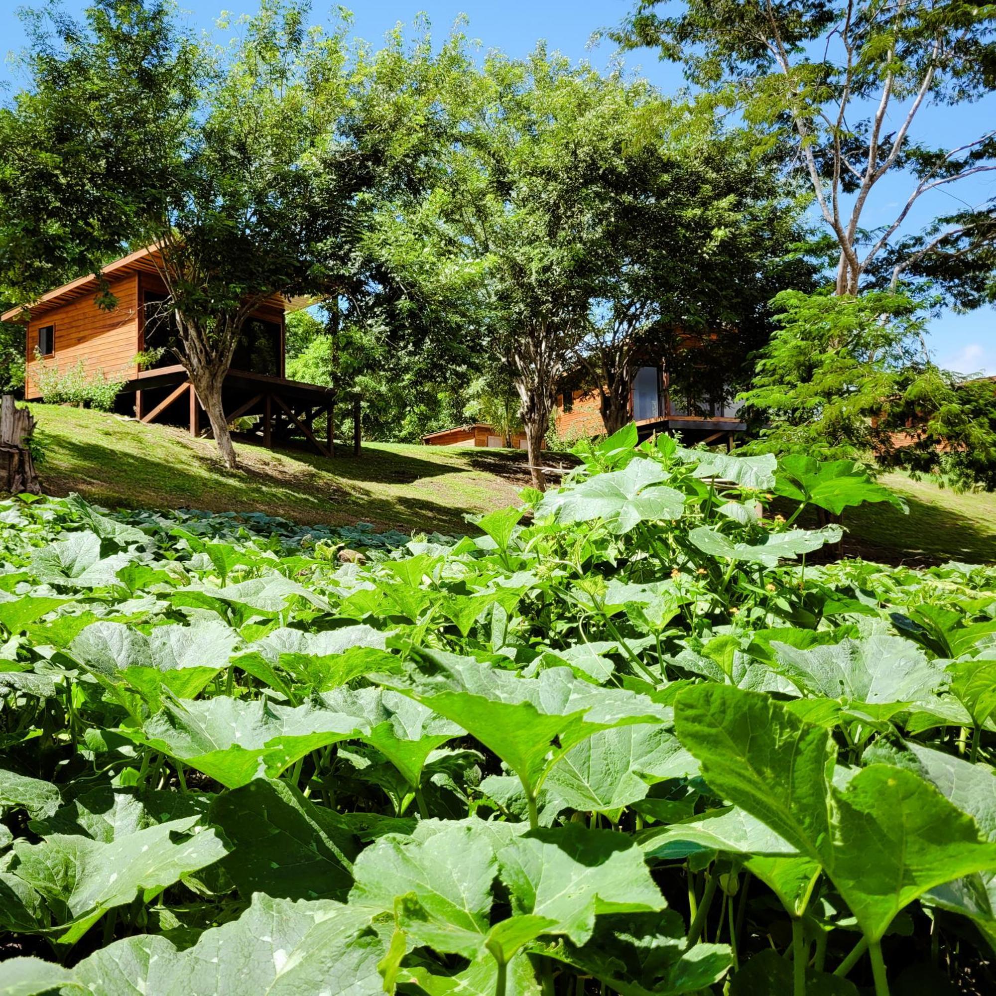 Yumas Riverfront Lodge San Ignacio Dış mekan fotoğraf